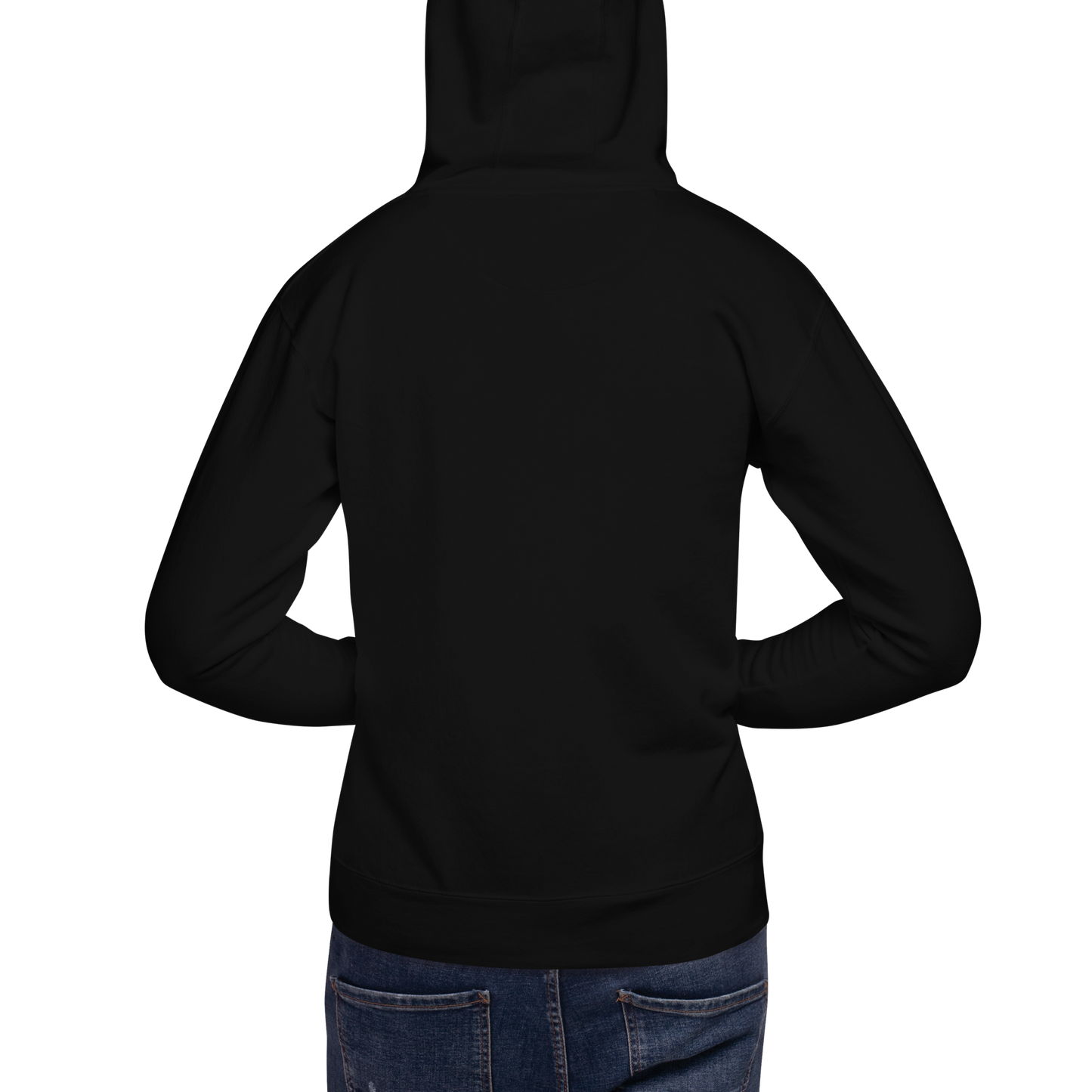 New Horizons (Alt) Embroidered Hoodie