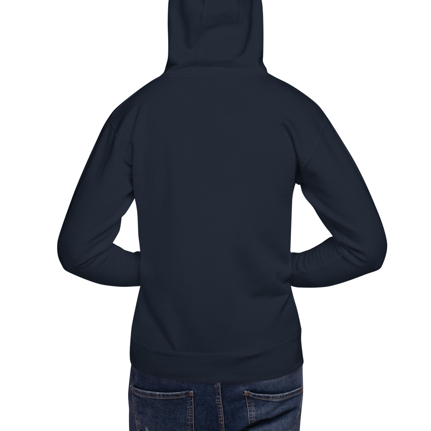 New Horizons (Alt) Embroidered Hoodie